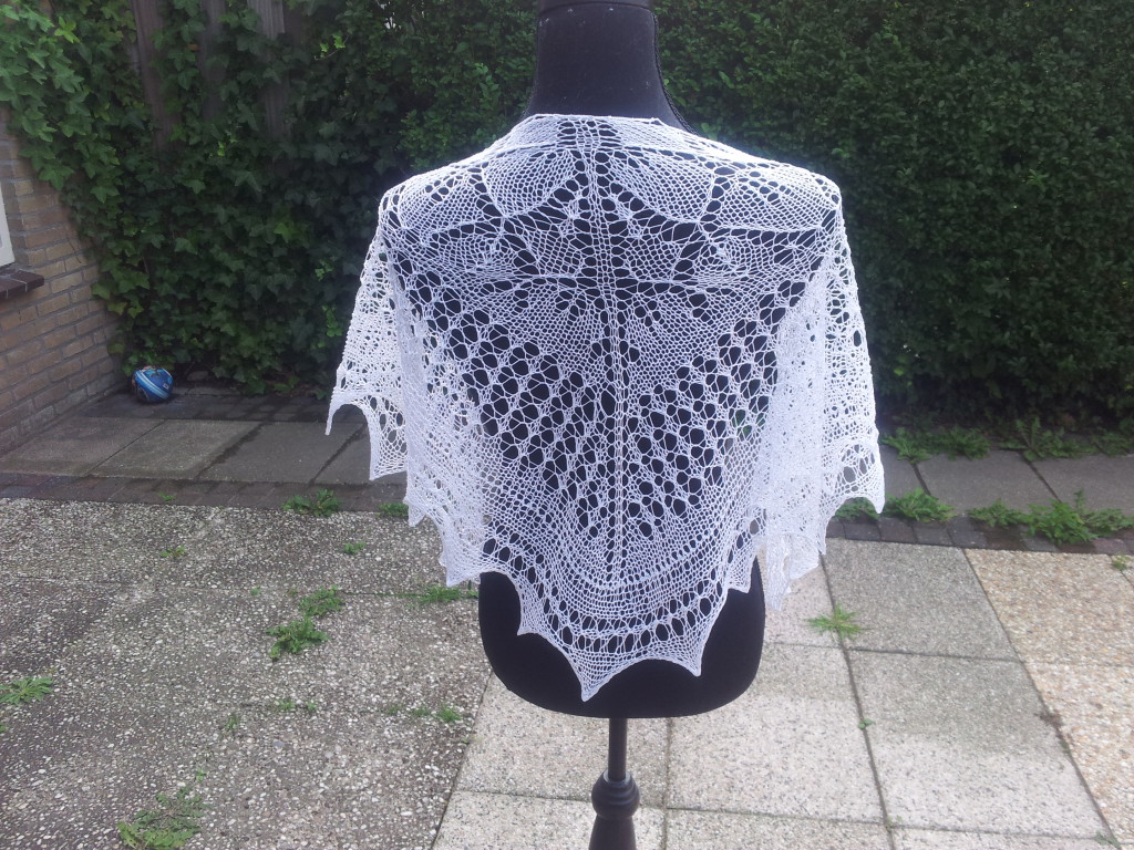 shawl breien
